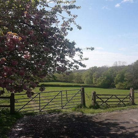 Moaps Farm B&B Support Small Business, Welcome, Check In From 5 Pm Danehill Exterior foto