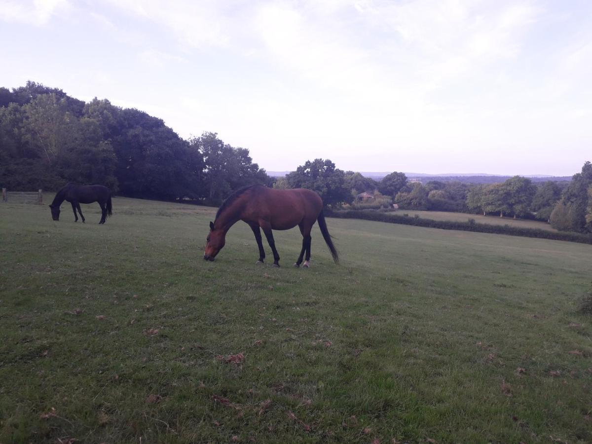 Moaps Farm B&B Support Small Business, Welcome, Check In From 5 Pm Danehill Exterior foto