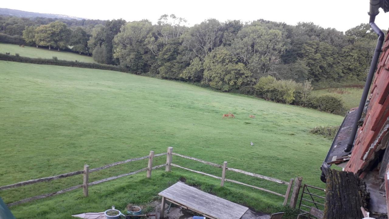 Moaps Farm B&B Support Small Business, Welcome, Check In From 5 Pm Danehill Exterior foto