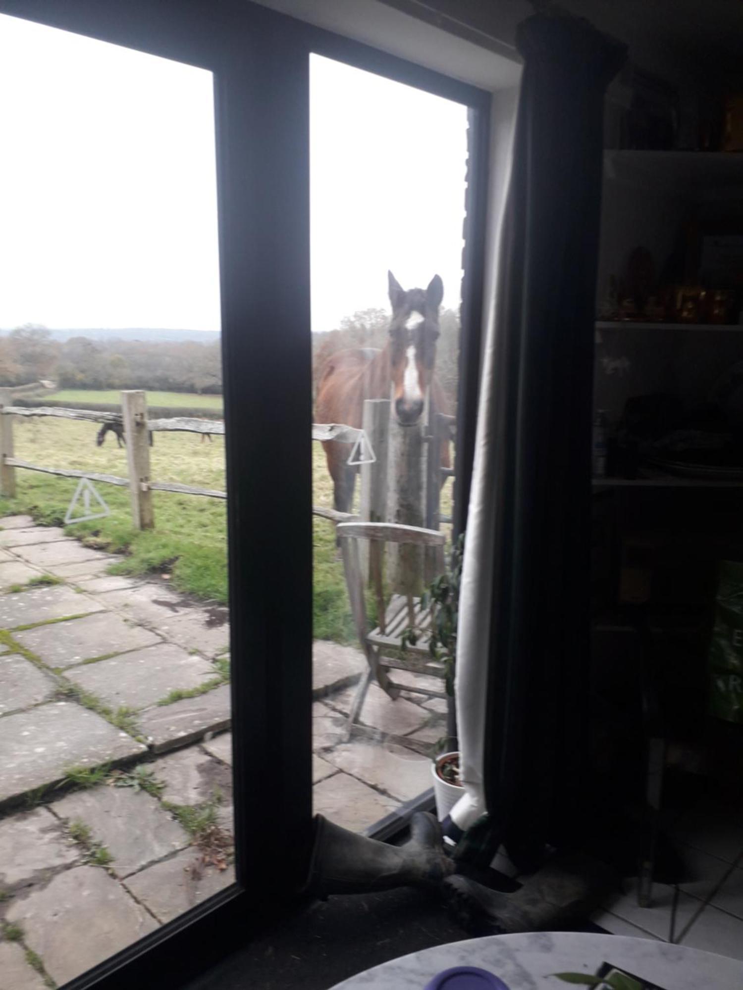 Moaps Farm B&B Support Small Business, Welcome, Check In From 5 Pm Danehill Exterior foto